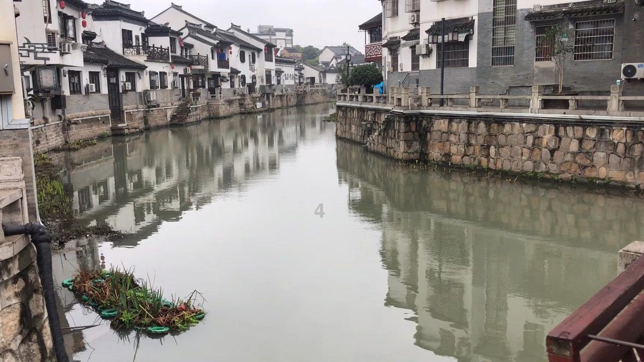 动物帮帮忙保卫家园